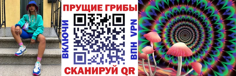 blacksprut рабочий сайт купить наркотик Брюховецкая Псилоцибиновые грибы Magic Shrooms